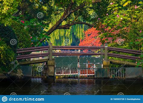what are the flowering trees in west lake china
